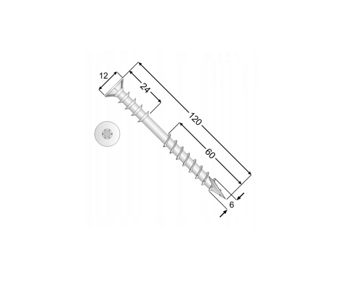 WDS 6×120 100 tk/pakk TORX T30