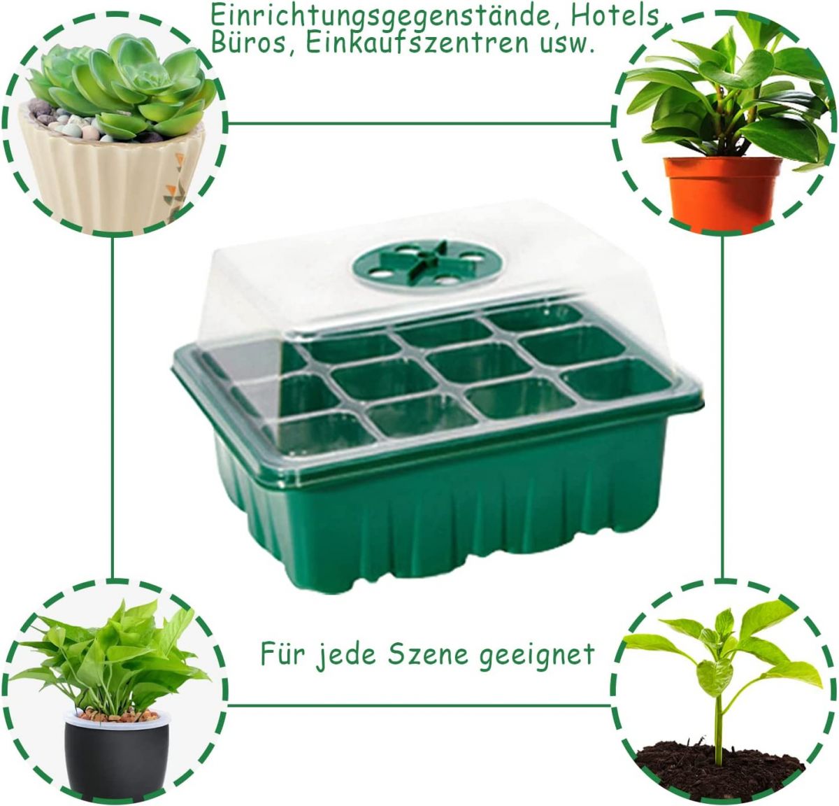 Plastic trays for growing seedlings (4 pcs.)