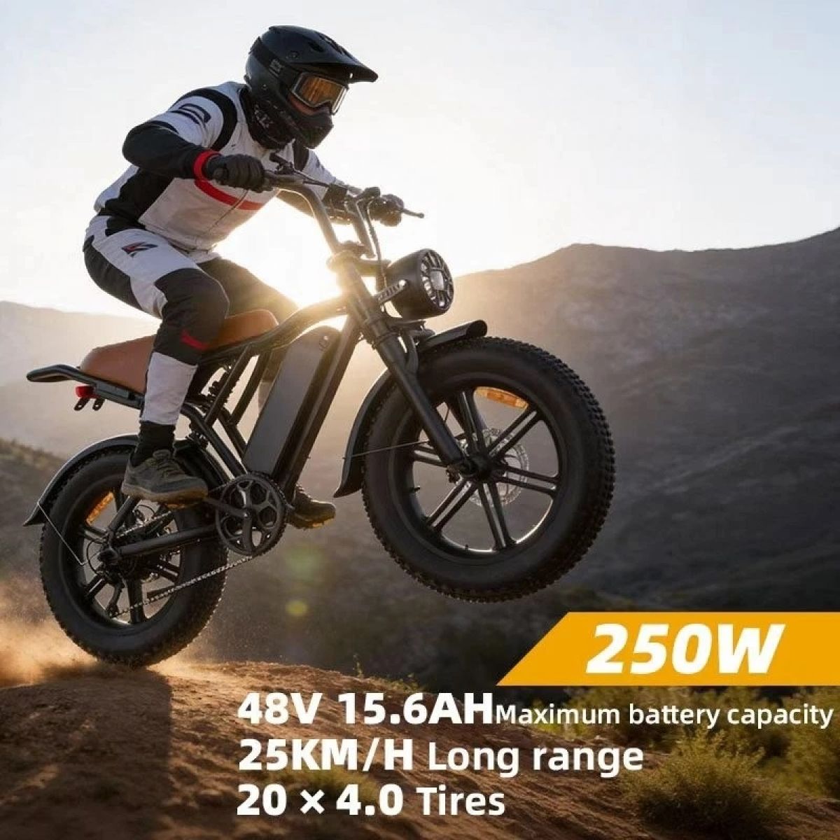 2026 20" E-Bike 250W 48V E-Mountain Bike 45km/h Offroad Moped Electric Motorcycle