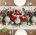 Christmas Tablecloth (33x90 cm)