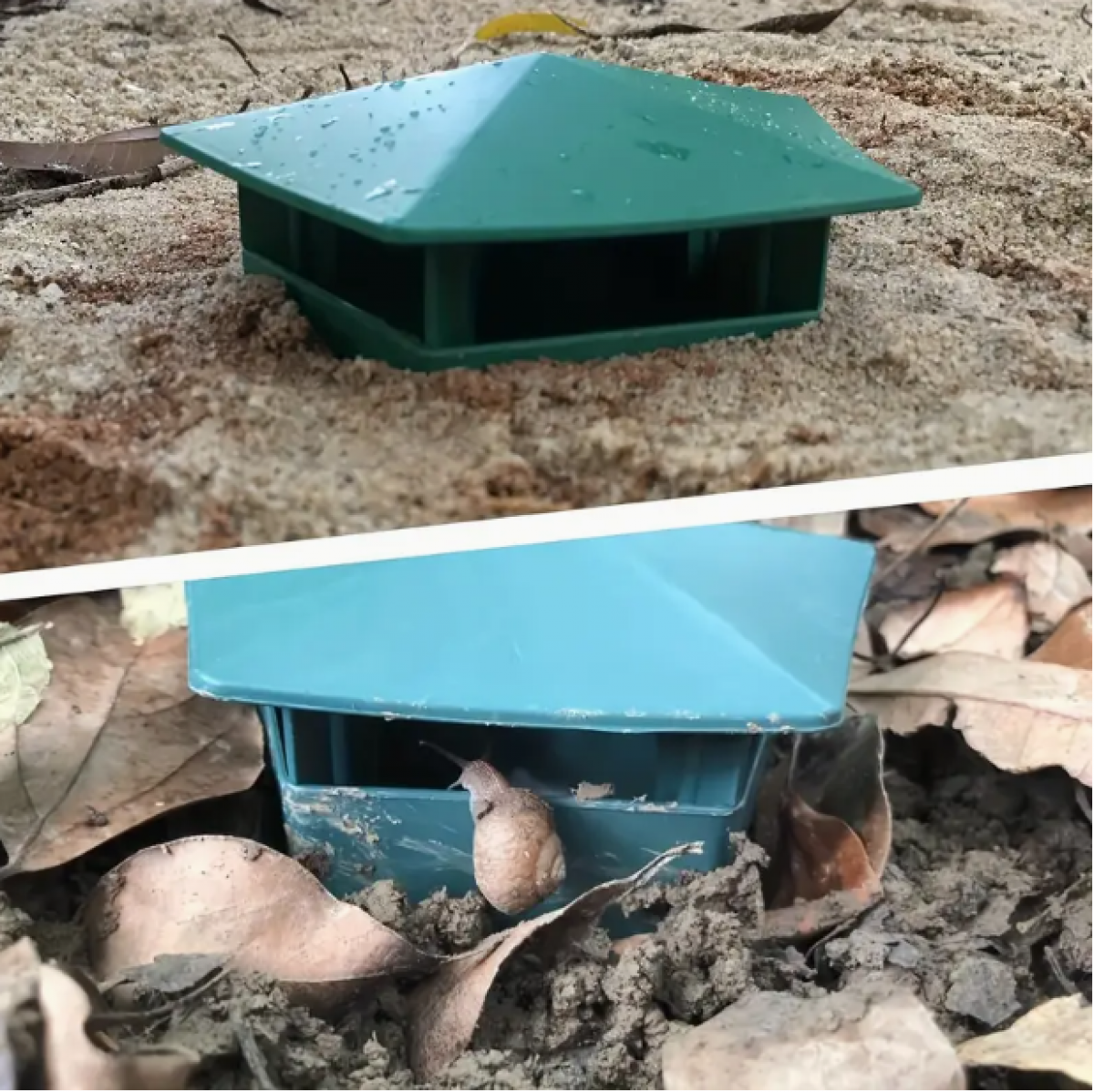 Snail and Slug Trap for the Garden (3 pcs.)