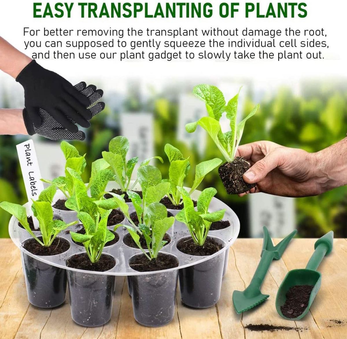 Plastic trays for growing seedlings (5 pcs.)