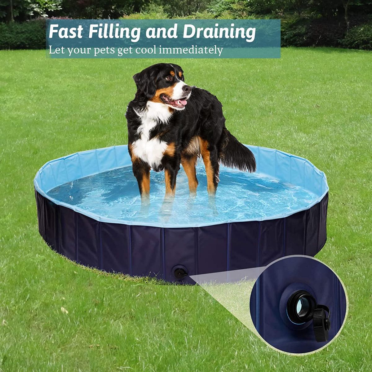 Dog pool 120 x 30 cm