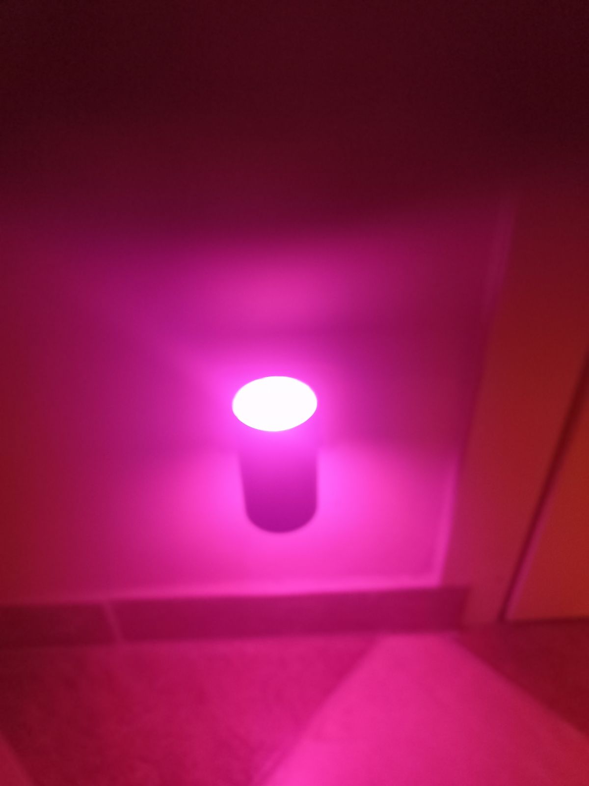LED öövalgusti pesa hämardatav värvimuutev