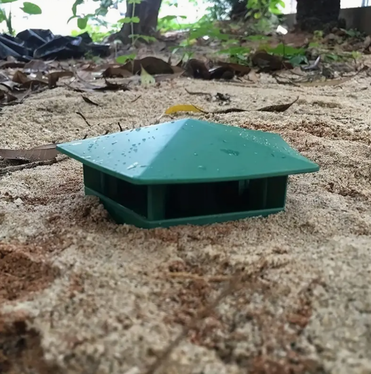 Snail and Slug Trap for the Garden (3 pcs.)